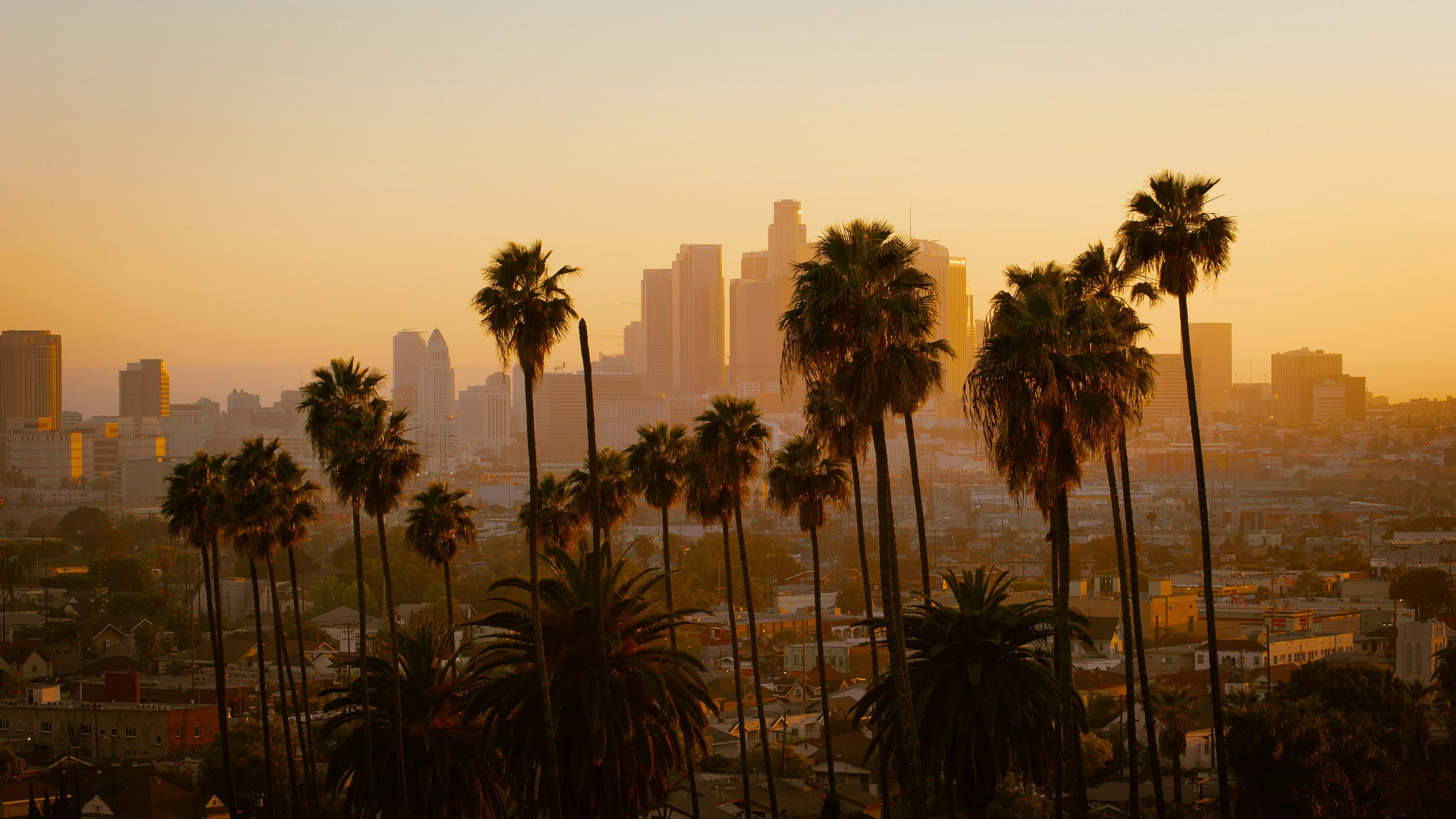 Los Angeles skyline at sunset, framed by palm trees
